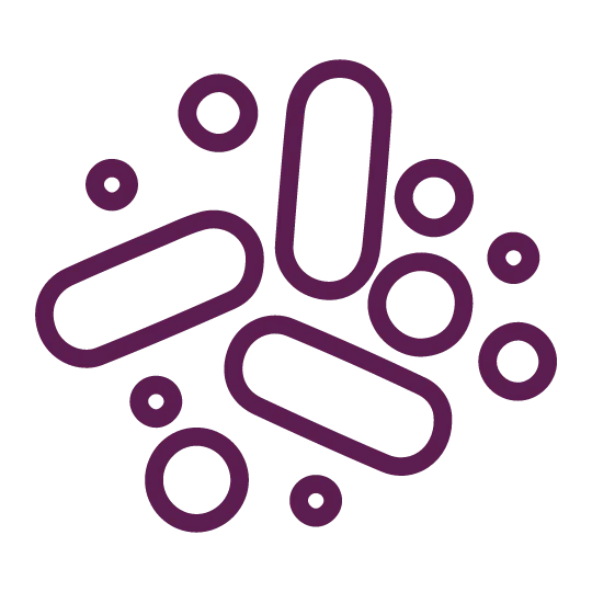 Illustration of various purple bacteria shapes, including elongated ovals and small circles, scattered across a white background.