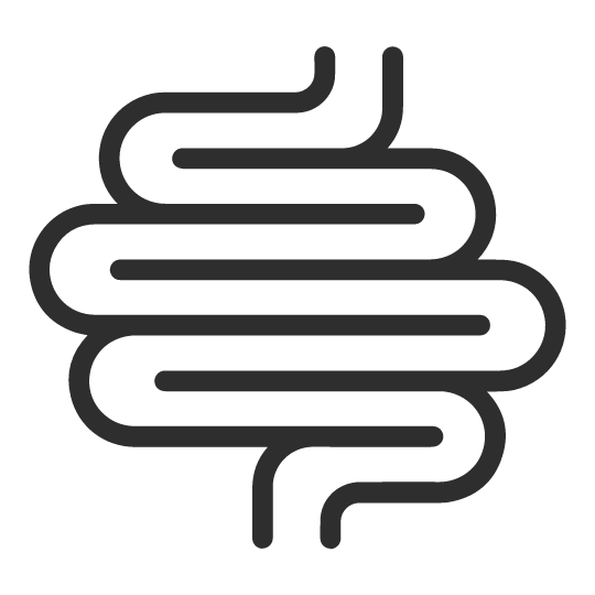Illustration of a simplified, stylized human intestine. The design features a continuous, looping line that resembles the shape of intestinal coils, drawn in a bold black line against a white background.