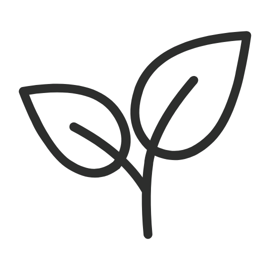 Simple black line drawing of a plant with two leaves on a single stem.