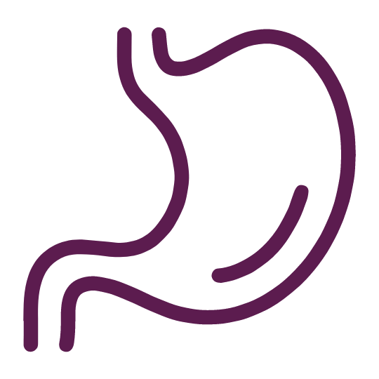 Illustration of a stomach outline in purple on a transparent background. The design is simple, depicting the stomach and part of the digestive tract with curved lines.