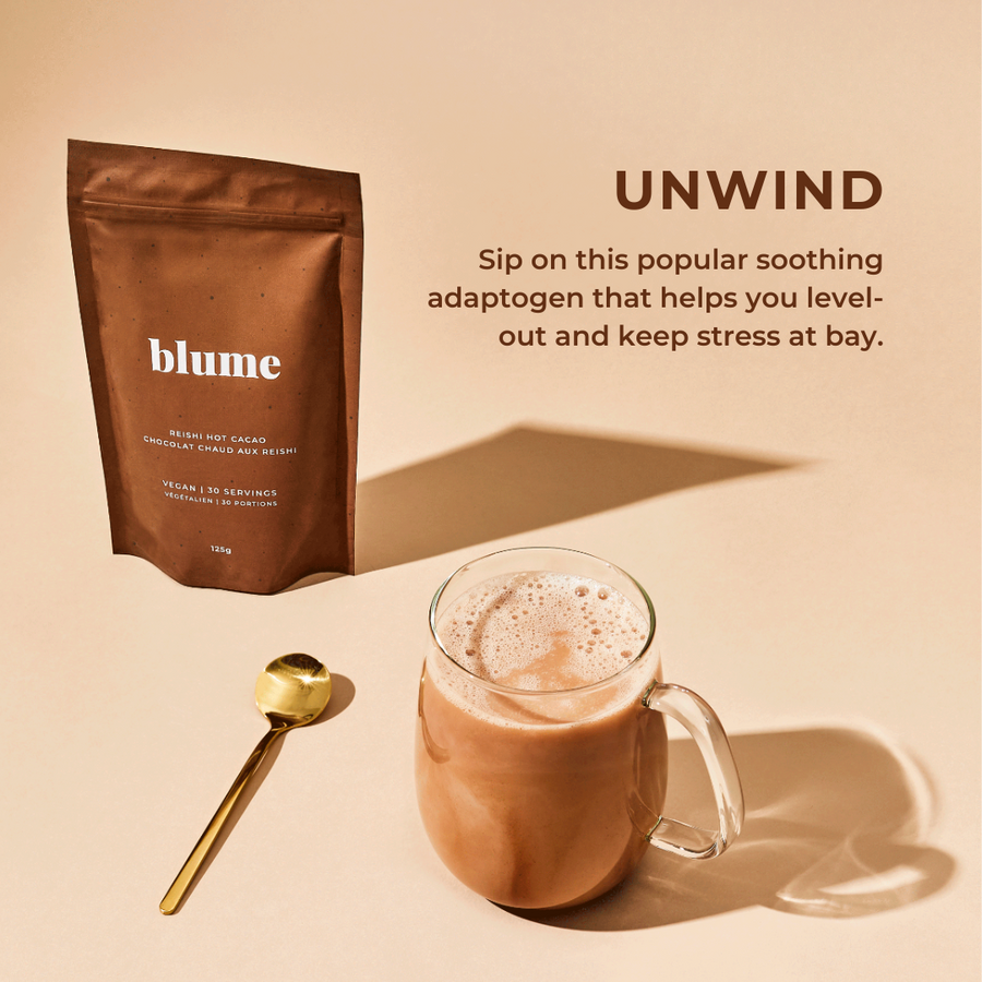 Mini Latte Discovery Pack